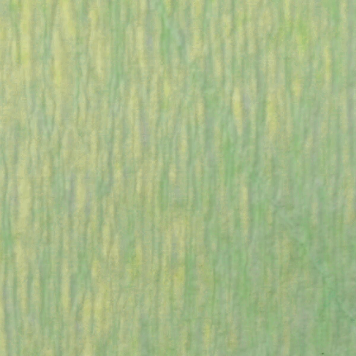 Papel Crepe Pingüino Belumosa 1 Bolsa C/10 pliegos Verde Menta