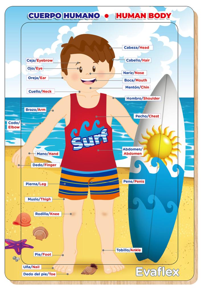 Evaflex Wooden Beach Children's Puzzle C/30 Pieces 24*34cm