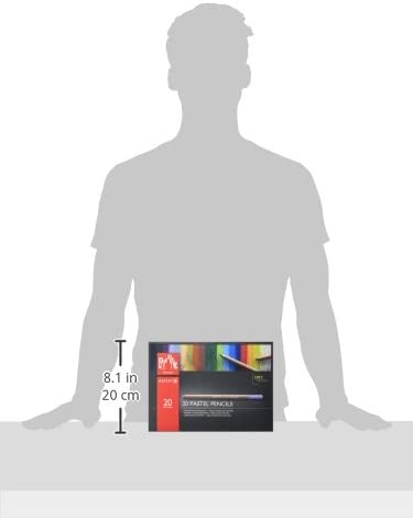 Lapiz De Color Caran D'ache Pastel Profesional Estuche C/20