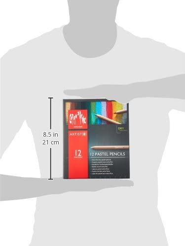 Lapiz De Color Caran D'ache Pastel Profesional Estuche C/12