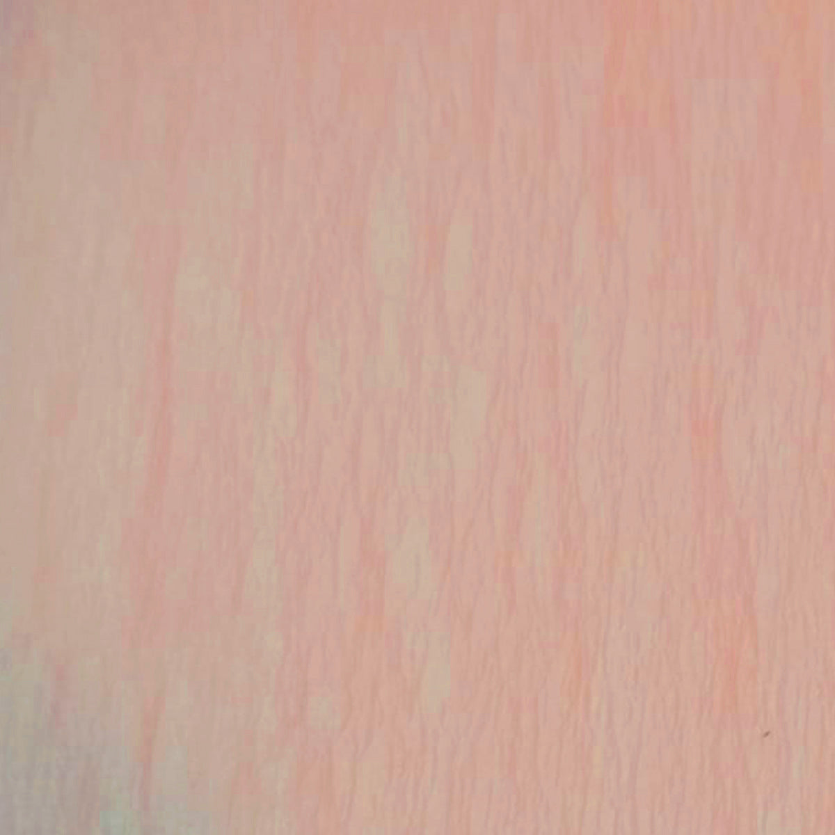 Papel Crepe Pingüino Belumosa 1 Bolsa Combinado Color piel C/10 Pliegos