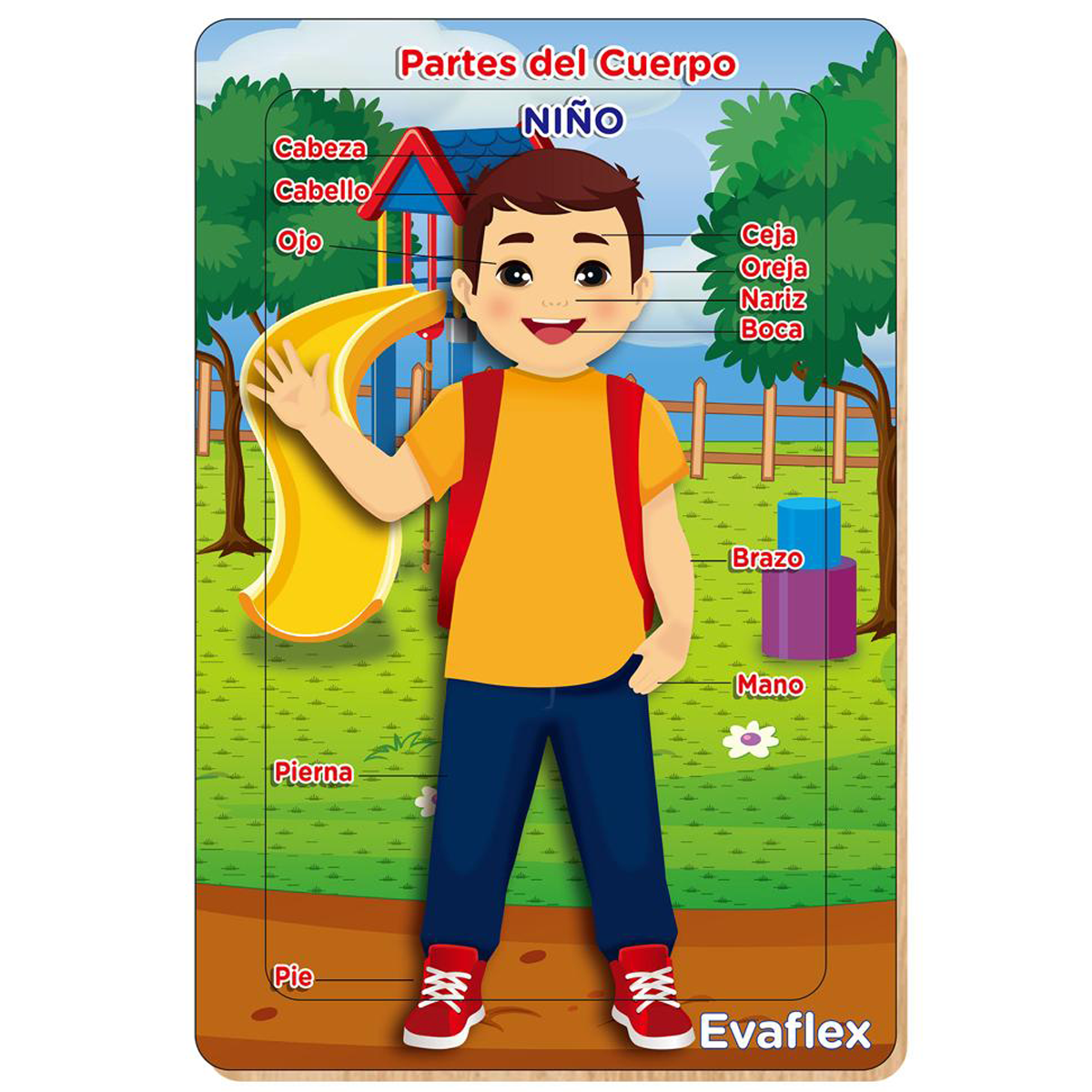Rompecabezas Madera Evaflex Niño Cuerpo 20 Piezas 20x30cm